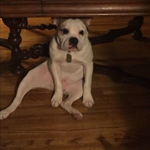 Meet your Posher, Brandon