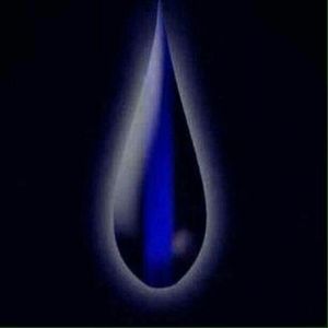 Meet your Posher, Britt