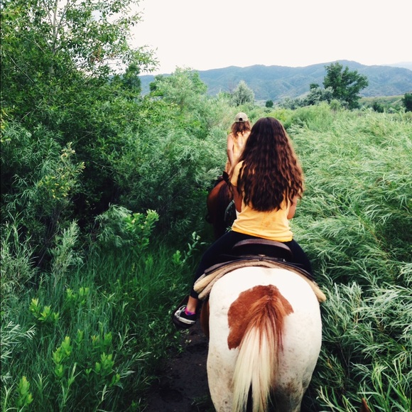 Meet your Posher, Abby - Picture 1 of 1