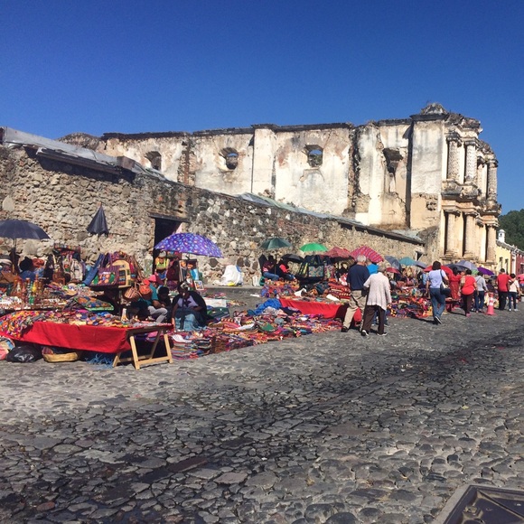 Meet your Posher, Jasmine - Picture 2 of 4