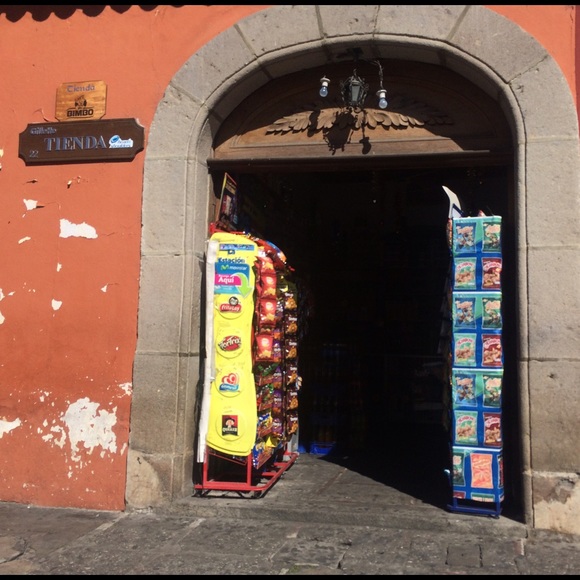 Meet your Posher, Jasmine - Picture 3 of 4