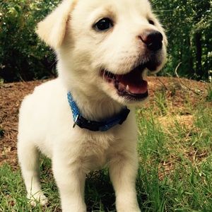 Meet your Posher, Kylie