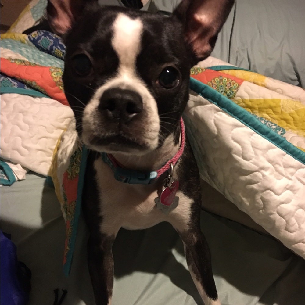 Meet your Posher, Bre