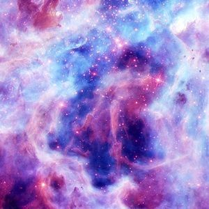 Meet your Posher, Cierra