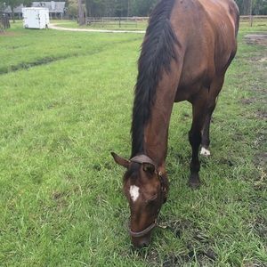 Meet your Posher, Adeline