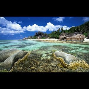 Meet your Posher, Leita