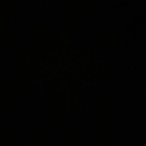 Meet your Posher, Karley