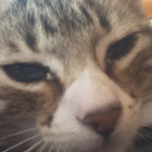 Meet your Posher, Sig