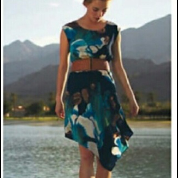 Anthropologie Magnified Corolla Dress Sz 2