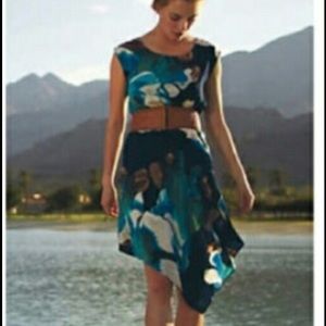 Anthropologie Magnified Corolla Dress Sz 2