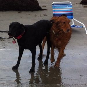 Meet your Posher, Elizabeth