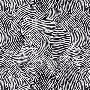 Meet your Posher, Agatha