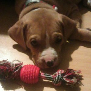 Meet your Posher, Reveca