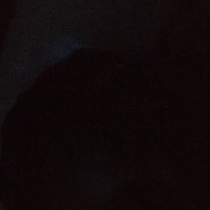 Meet your Posher, Lex