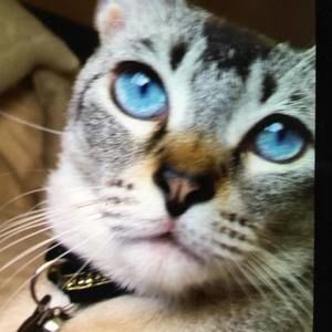 Meet your Posher, Lynne