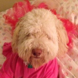 Meet your Posher, Nadya