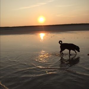 Meet your Posher, Caitlin