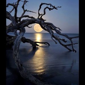 Meet your Posher, Gina