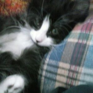 Meet your Posher, Kimberlee