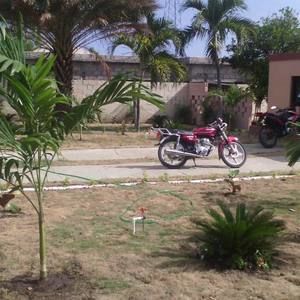 Meet your Posher, Nancis