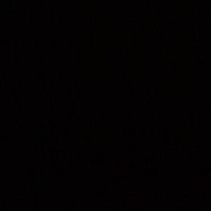 Meet your Posher, Carolina