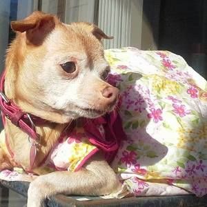 Meet your Posher, Veronica