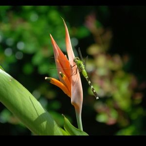 Meet your Posher, Robin