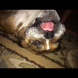 Meet your Posher, Kaitlin