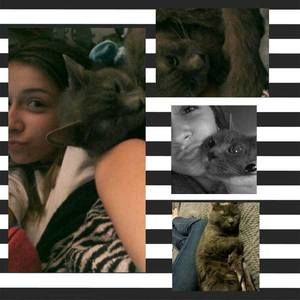 Meet your Posher, Abby