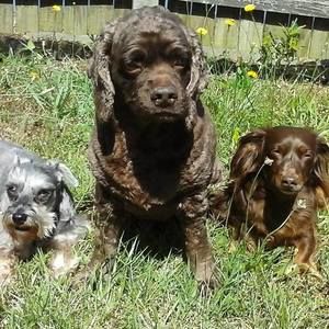 Meet your Posher, Melissa