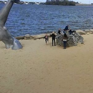 Meet your Posher, Tyrone