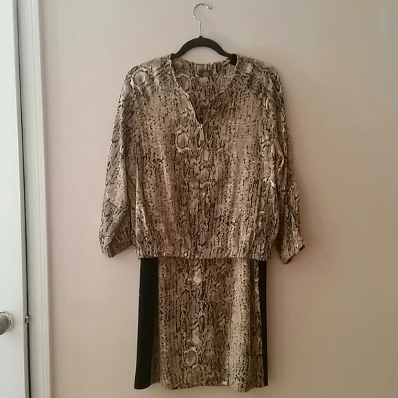 Snake Print Dress With Jacket