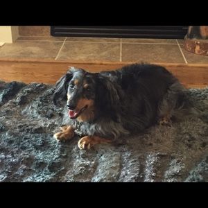 Meet your Posher, Denise