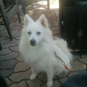 Meet your Posher, Lacey