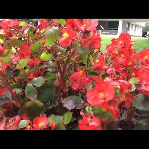 Meet your Posher, Evan