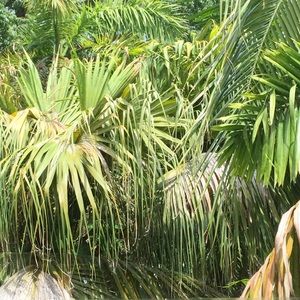 Meet your Posher, Colby