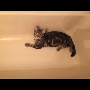 Meet your Posher, Jessica