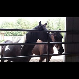 Meet your Posher, Suzy