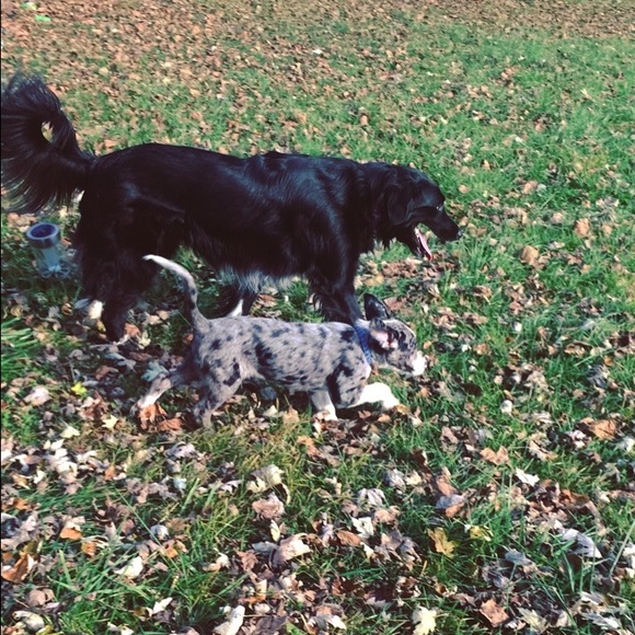 Meet your Posher, Kristen - Picture 4 of 7