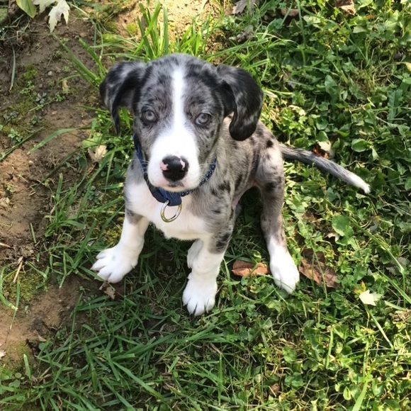 Meet your Posher, Kristen - Picture 6 of 7