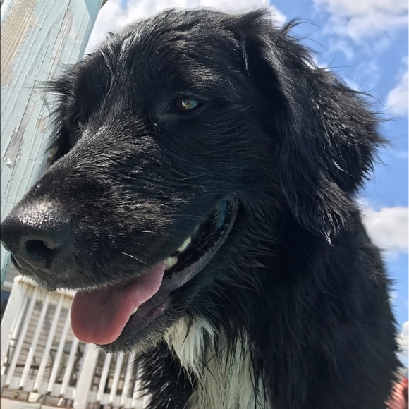 Meet your Posher, Kristen - Picture 7 of 7