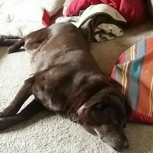 Meet your Posher, Anna