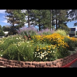 Meet your Posher, Lynn