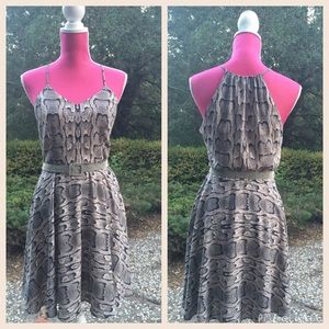 Express Python Print Dress