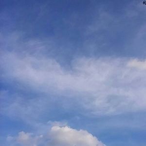 Meet your Posher, Doris