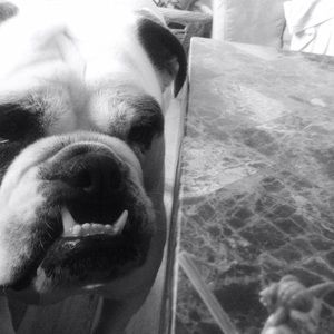 Meet your Posher, Kate