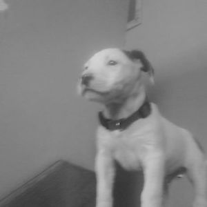 Meet your Posher, Raymond