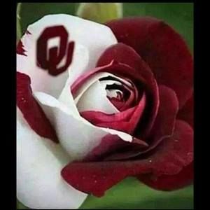 Meet your Posher, Marcia