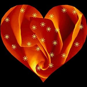 Meet your Posher, Aida