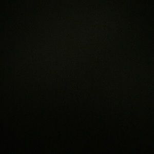 Meet your Posher, Travis